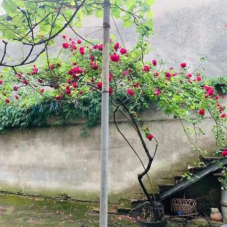 Perla.Geo Otel Kutaisi Dış mekan fotoğraf